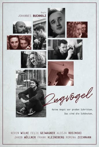 Zugvögel afişi