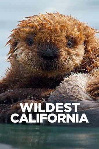Wildest California afişi