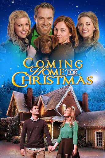 Coming Home for Christmas afişi