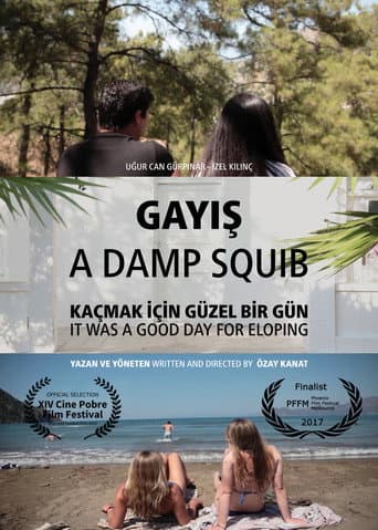 Gayış afişi