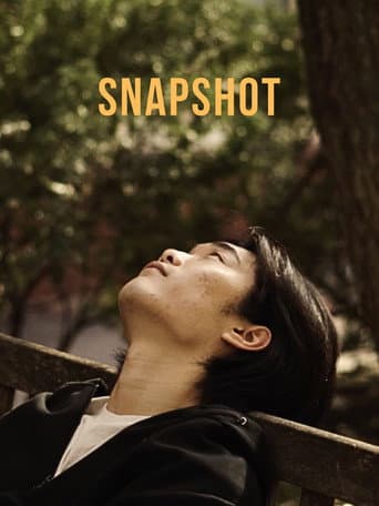 Snapshot afişi