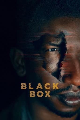 Black Box afişi