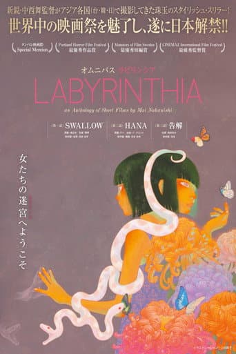 LABYRINTHIA／ラビリンシア afişi