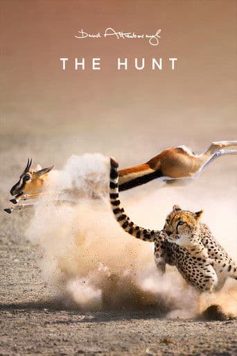 The Hunt afişi