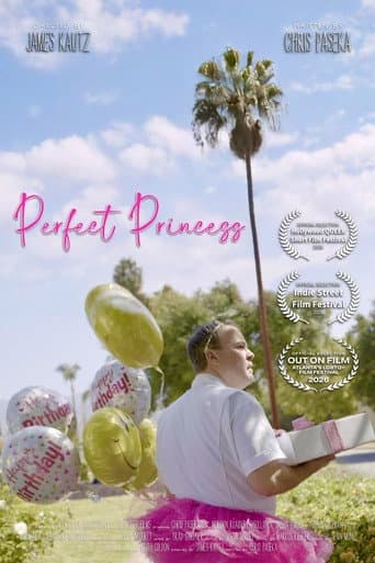 Perfect Princess afişi