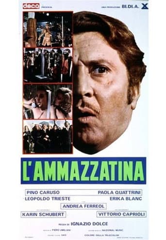 L'ammazzatina afişi