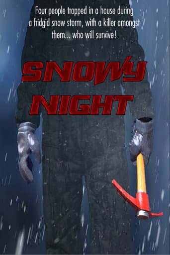 Snowy Night afişi