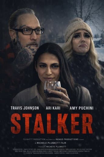 STALKER afişi