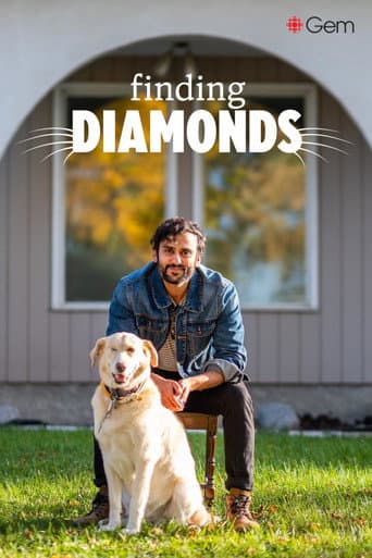 Finding Diamonds afişi