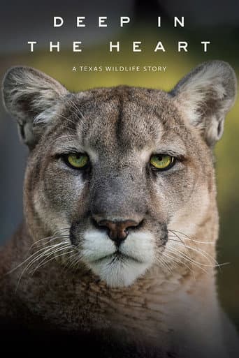 Deep in the Heart: A Texas Wildlife Story afişi