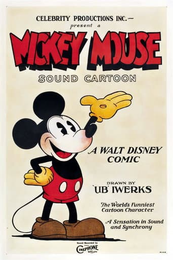 Mickey Mouse Cartoons afişi