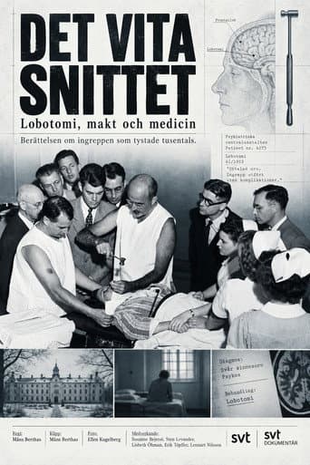 Det vita snittet afişi