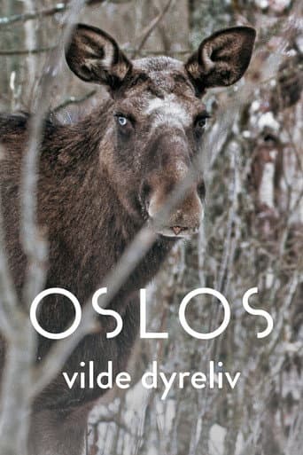 Oslo – The Wild Heart of Norway afişi