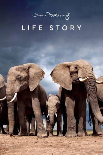 Life Story afişi