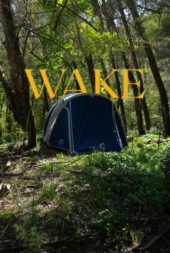 Wake afişi