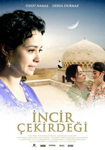 İncir Çekirdeği afişi
