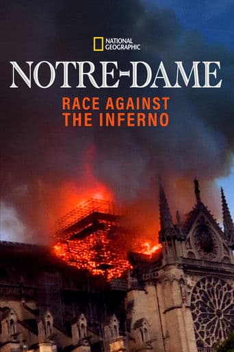 Notre-Dame: Race Against the Inferno afişi