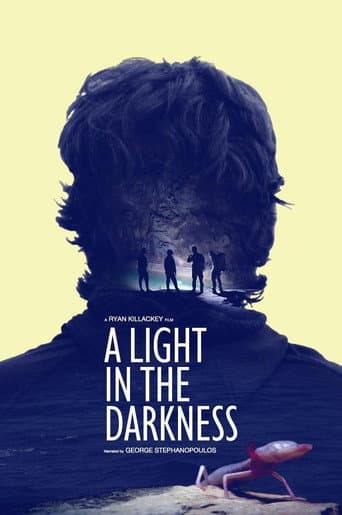 A Light in the Darkness afişi