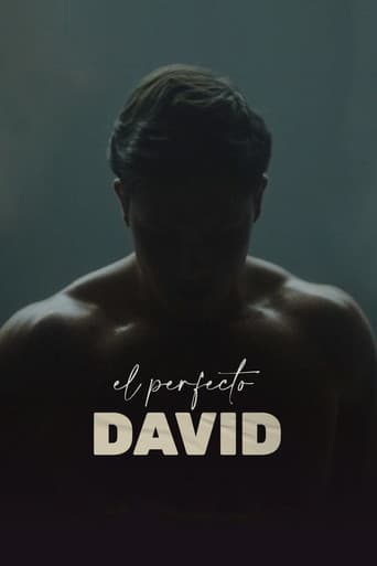 El perfecto David afişi