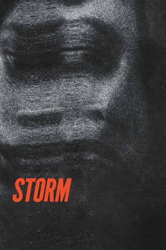 Storm afişi