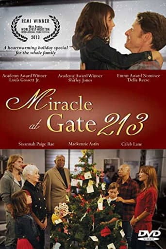 Miracle at Gate 213 afişi