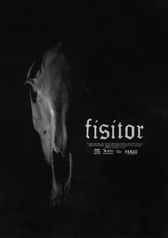 Fisitor afişi