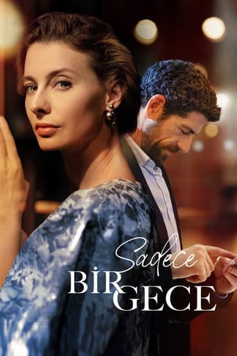 Sadece Bir Gece afişi