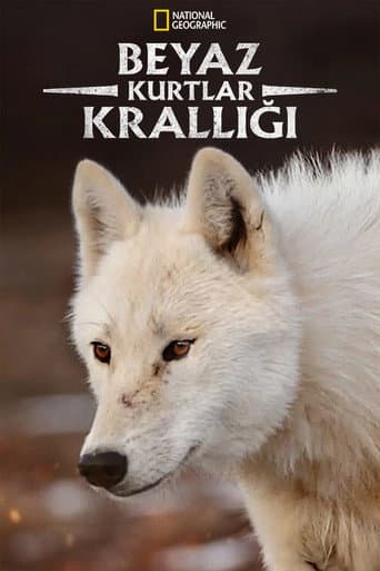 Beyaz Kurtlar Krallığı afişi
