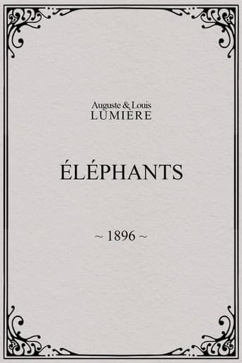 Éléphants afişi