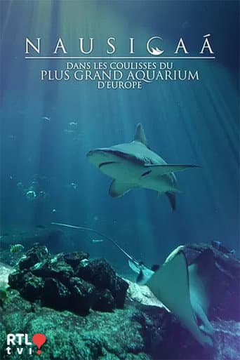 Nausicaá : Dans les coulisses du plus grand aquarium d'Europe afişi