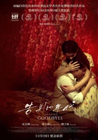 The Age Of Goodbyes afişi