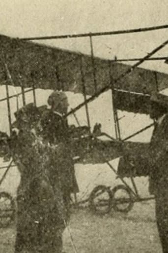 Flying to Fortune afişi