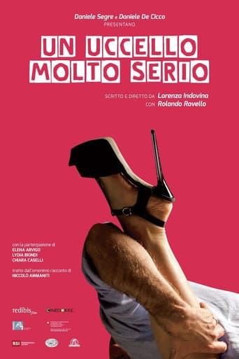 Un uccello molto serio afişi