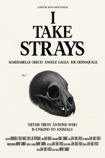 I TAKE STRAYS afişi