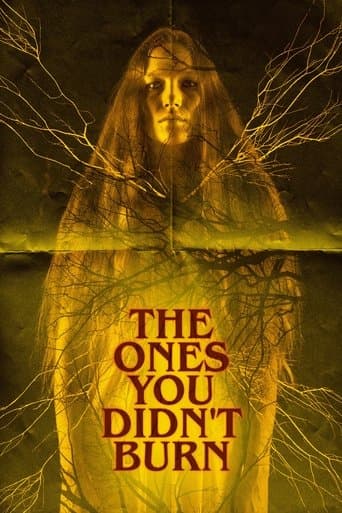 The Ones You Didn’t Burn afişi