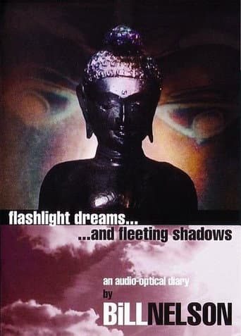 Flashlight Dreams and Fleeting Shadows: an Audio-Optical Diary by Bill Nelson afişi