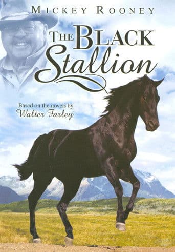 The Adventures of the Black Stallion afişi