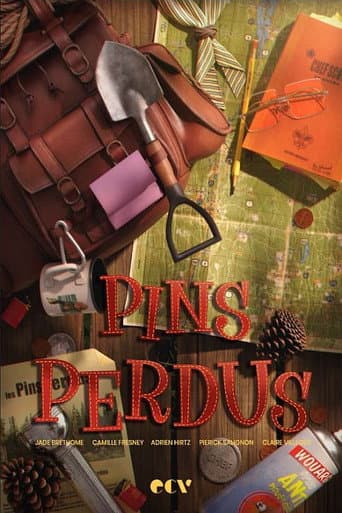 Pins perdus afişi