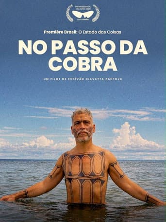 No Passo da Cobra afişi