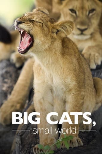 Big Cats, Small World afişi