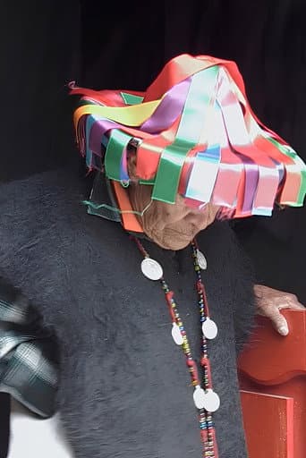 El Naíl afişi
