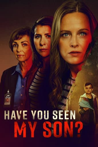 Have You Seen My Son? afişi