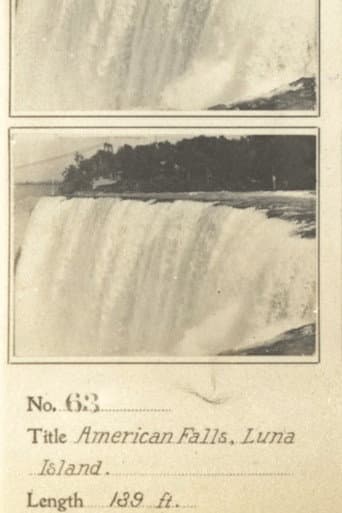 American Falls from Luna Island afişi