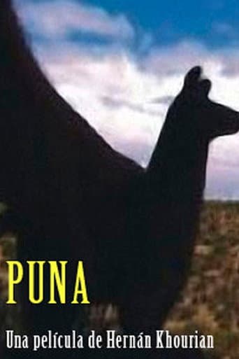 Puna afişi