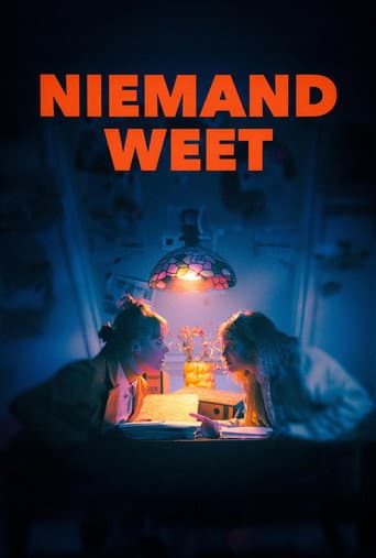 Niemand weet afişi