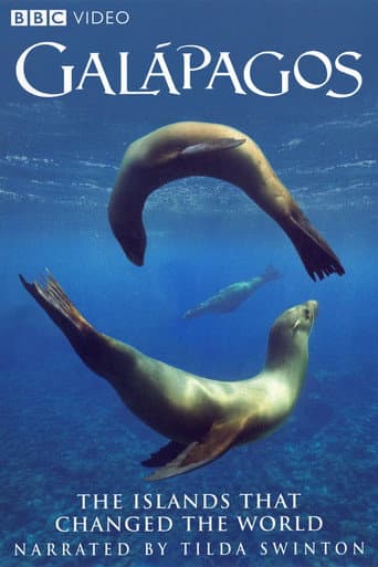 Galapagos afişi