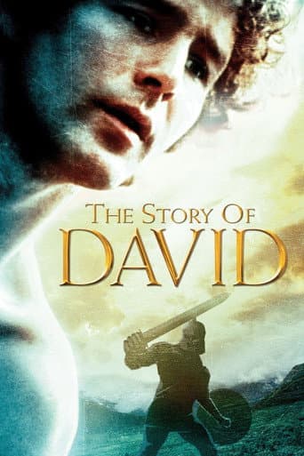 The Story of David afişi