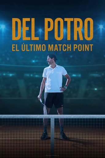 Del Potro, el último match point afişi