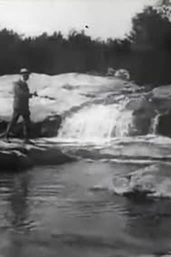 Brook Trout Fishing afişi