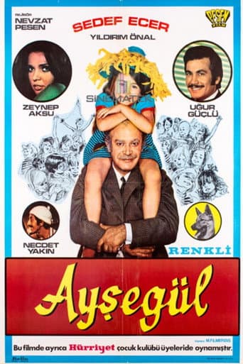 Ayşegül afişi